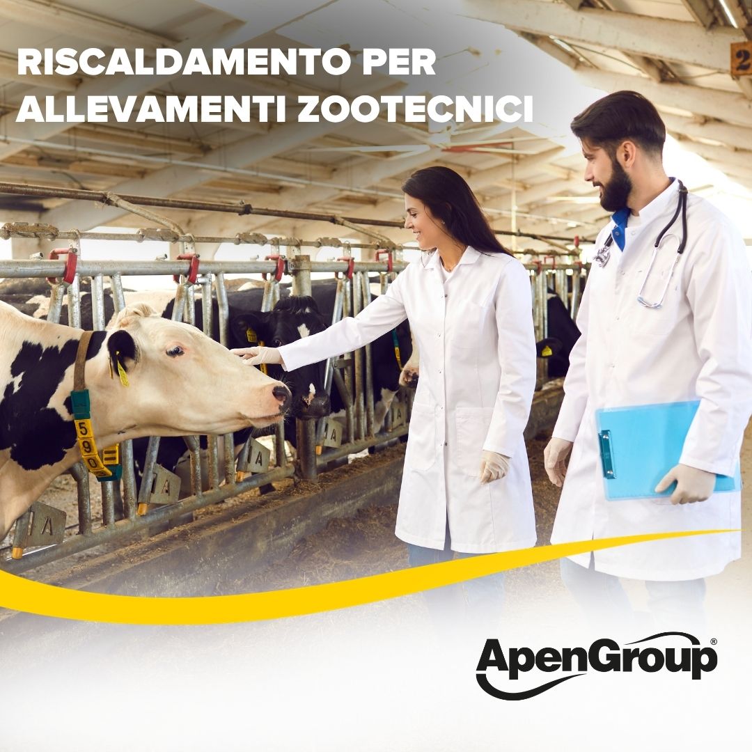 Stalla da latte con vacche alla mangiatoia e veterinari al lavoro: riscaldamento degli allevamenti zootecnici con le unità AH di Apen Group